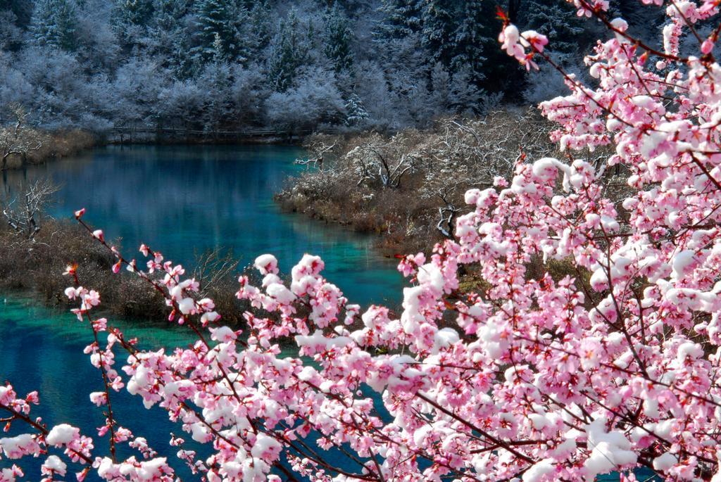 Sheraton Jiuzhaigou Resort Exterior foto